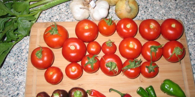 Hjemmelavet Chilisauce – blandet chili og tomat Hjemmelavet Chilisauce – blandet chili og tomat